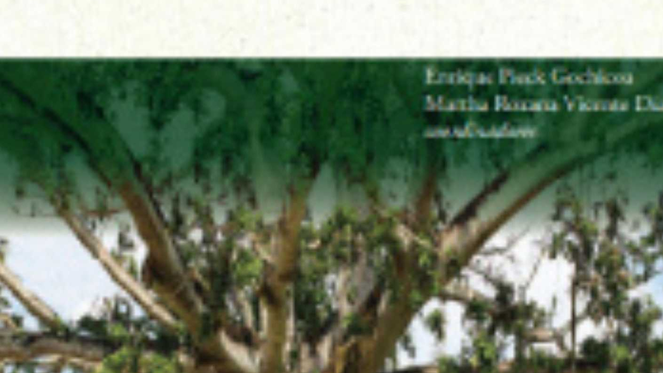 Abriendo-Horizontes-2a