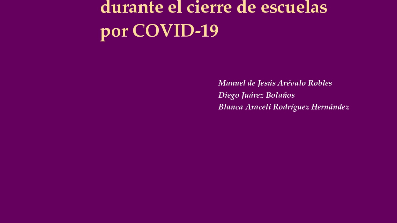 Consecuencias en el ejercicio de docentes rurales