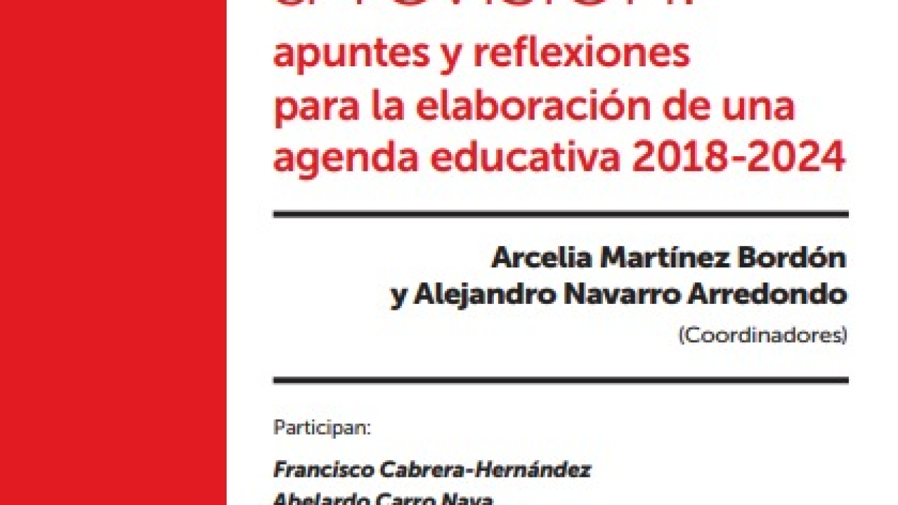 La reforma educativa a revision