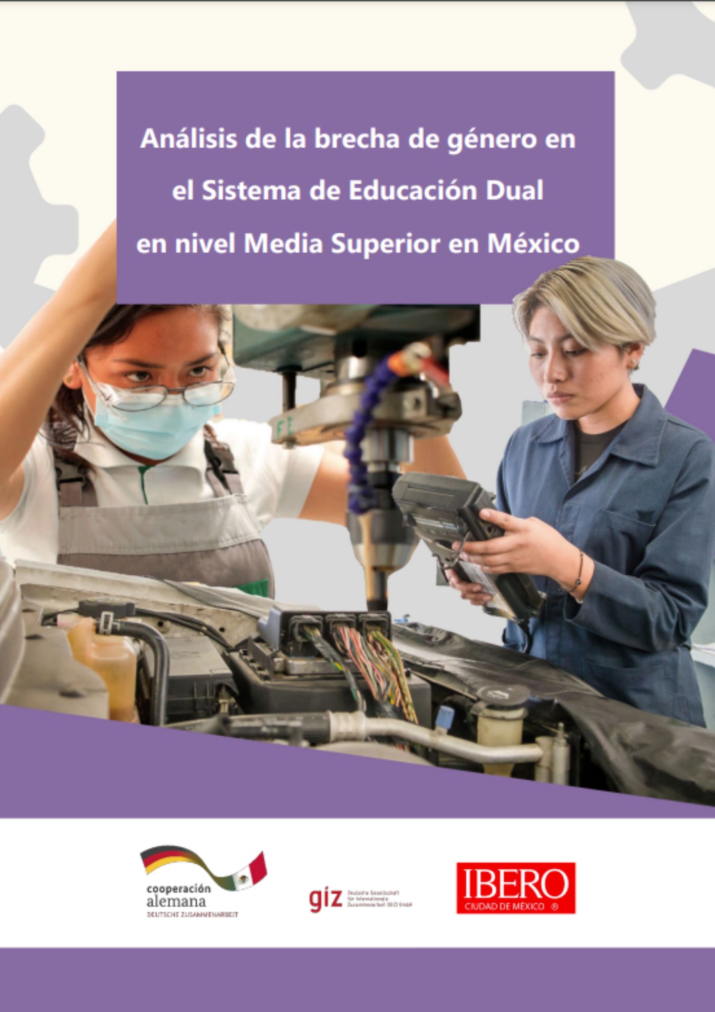 analisis de la brecha