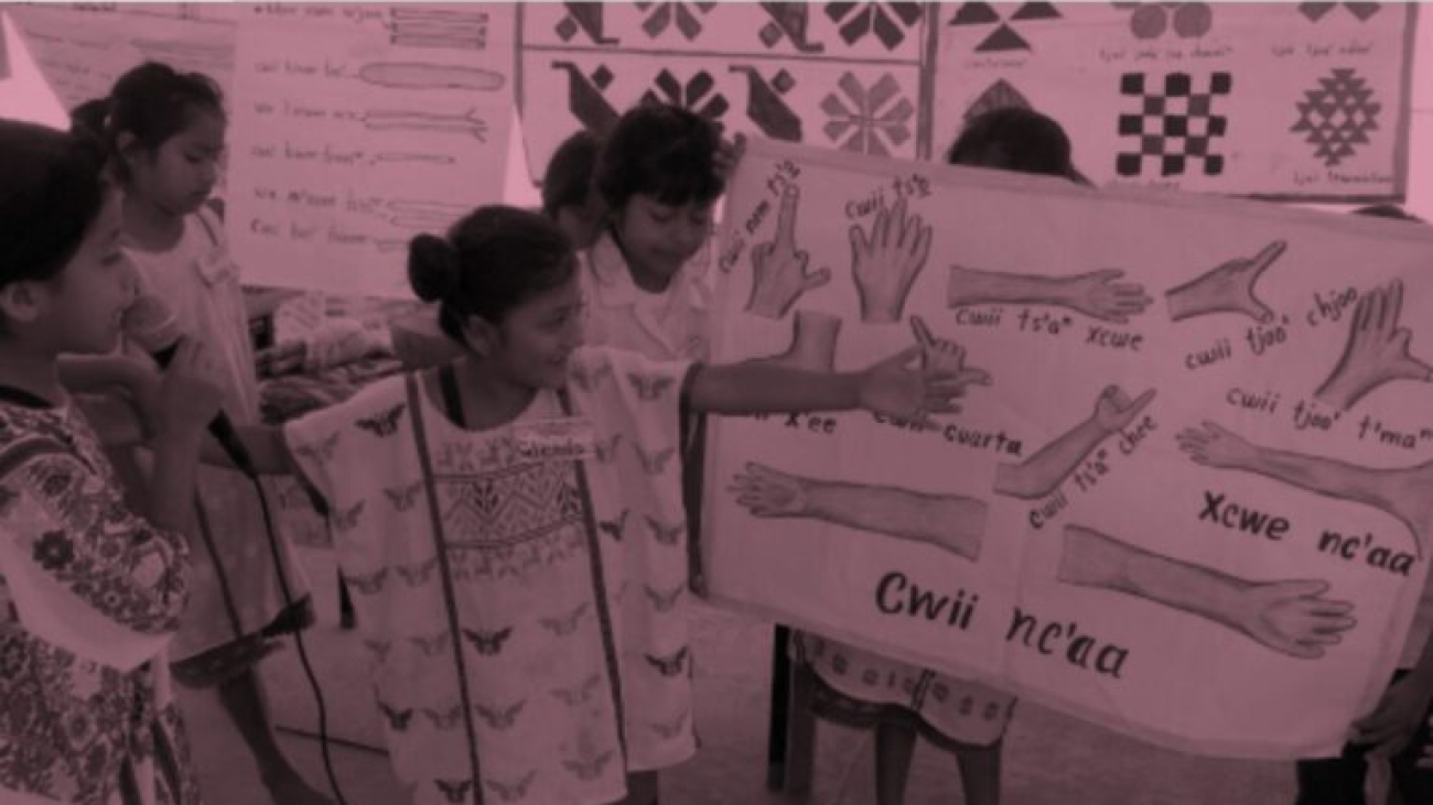 metodologias-pedagogicas-libro