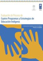 Evaluacion de Proceso de Cuatro Programas y Estrategias de Educacion Indigena